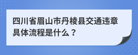 四川省眉山市丹棱县交通违章具体流程是什么？