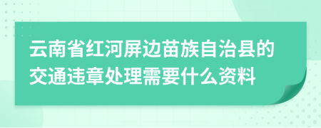 云南省红河屏边苗族自治县的交通违章处理需要什么资料