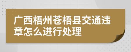 广西梧州苍梧县交通违章怎么进行处理