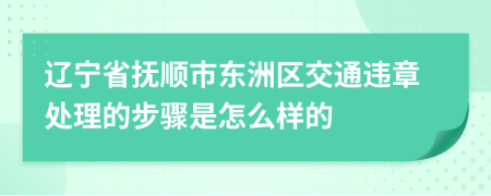 辽宁省抚顺市东洲区交通违章处理的步骤是怎么样的