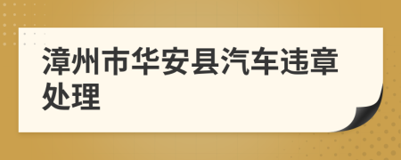 漳州市华安县汽车违章处理