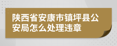 陕西省安康市镇坪县公安局怎么处理违章