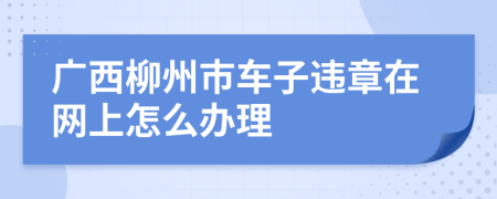 广西柳州市车子违章在网上怎么办理