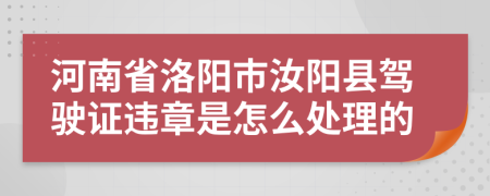 河南省洛阳市汝阳县驾驶证违章是怎么处理的