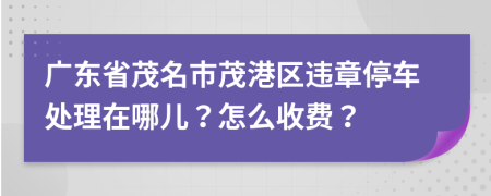 广东省茂名市茂港区违章停车处理在哪儿？怎么收费？