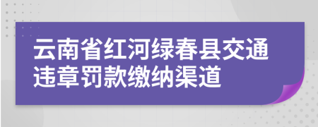 云南省红河绿春县交通违章罚款缴纳渠道