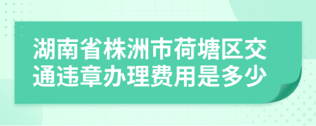 湖南省株洲市荷塘区交通违章办理费用是多少