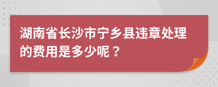 湖南省长沙市宁乡县违章处理的费用是多少呢？