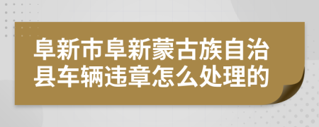 阜新市阜新蒙古族自治县车辆违章怎么处理的