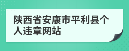 陕西省安康市平利县个人违章网站