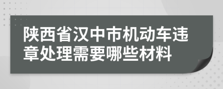 陕西省汉中市机动车违章处理需要哪些材料