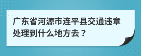 广东省河源市连平县交通违章处理到什么地方去？