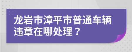 龙岩市漳平市普通车辆违章在哪处理？