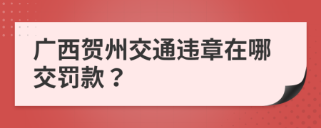 广西贺州交通违章在哪交罚款？