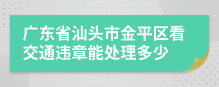 广东省汕头市金平区看交通违章能处理多少