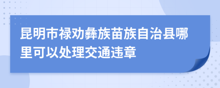 昆明市禄劝彝族苗族自治县哪里可以处理交通违章