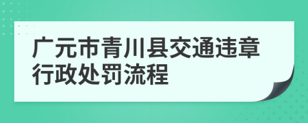 广元市青川县交通违章行政处罚流程