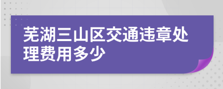 芜湖三山区交通违章处理费用多少