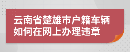 云南省楚雄市户籍车辆如何在网上办理违章