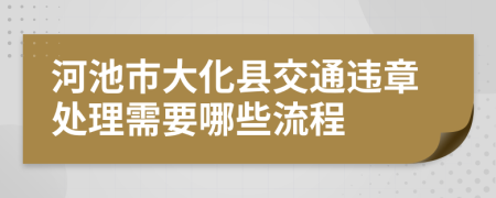 河池市大化县交通违章处理需要哪些流程