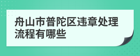 舟山市普陀区违章处理流程有哪些