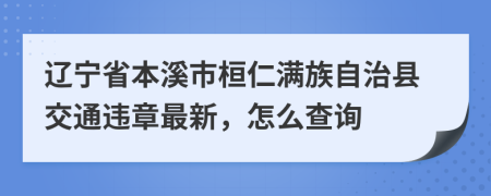 辽宁省本溪市桓仁满族自治县交通违章最新，怎么查询