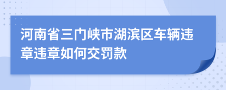 河南省三门峡市湖滨区车辆违章违章如何交罚款