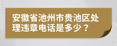 安徽省池州市贵池区处理违章电话是多少？