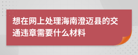 想在网上处理海南澄迈县的交通违章需要什么材料