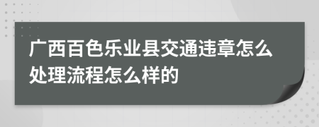 广西百色乐业县交通违章怎么处理流程怎么样的