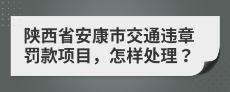 陕西省安康市交通违章罚款项目，怎样处理？