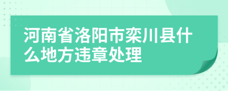 河南省洛阳市栾川县什么地方违章处理