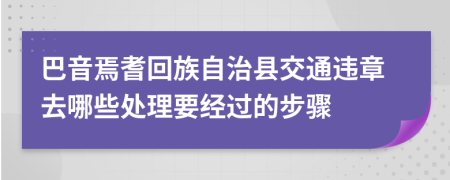 巴音焉耆回族自治县交通违章去哪些处理要经过的步骤