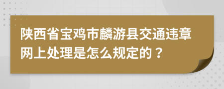 陕西省宝鸡市麟游县交通违章网上处理是怎么规定的？