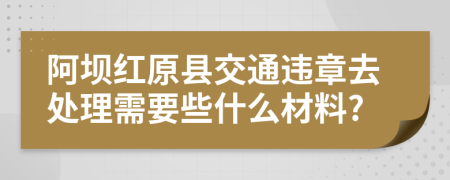 阿坝红原县交通违章去处理需要些什么材料?