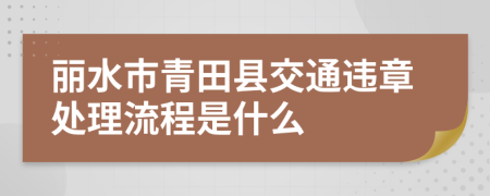 丽水市青田县交通违章处理流程是什么