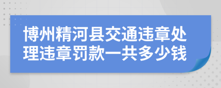 博州精河县交通违章处理违章罚款一共多少钱