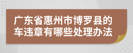 广东省惠州市博罗县的车违章有哪些处理办法