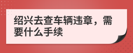 绍兴去查车辆违章，需要什么手续