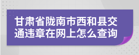 甘肃省陇南市西和县交通违章在网上怎么查询