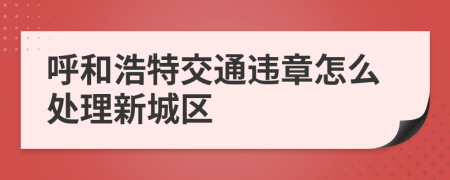 呼和浩特交通违章怎么处理新城区