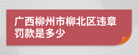 广西柳州市柳北区违章罚款是多少