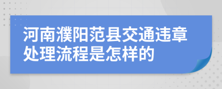 河南濮阳范县交通违章处理流程是怎样的