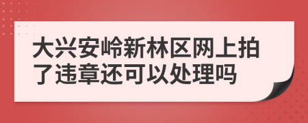 大兴安岭新林区网上拍了违章还可以处理吗