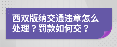 西双版纳交通违章怎么处理？罚款如何交？