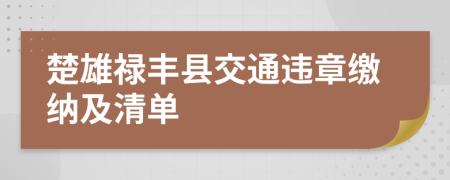 楚雄禄丰县交通违章缴纳及清单