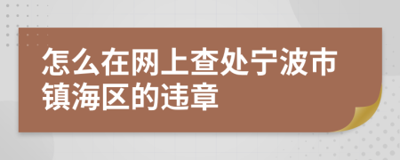 怎么在网上查处宁波市镇海区的违章