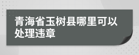 青海省玉树县哪里可以处理违章