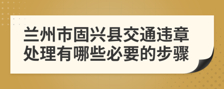 兰州市固兴县交通违章处理有哪些必要的步骤