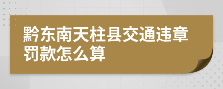 黔东南天柱县交通违章罚款怎么算